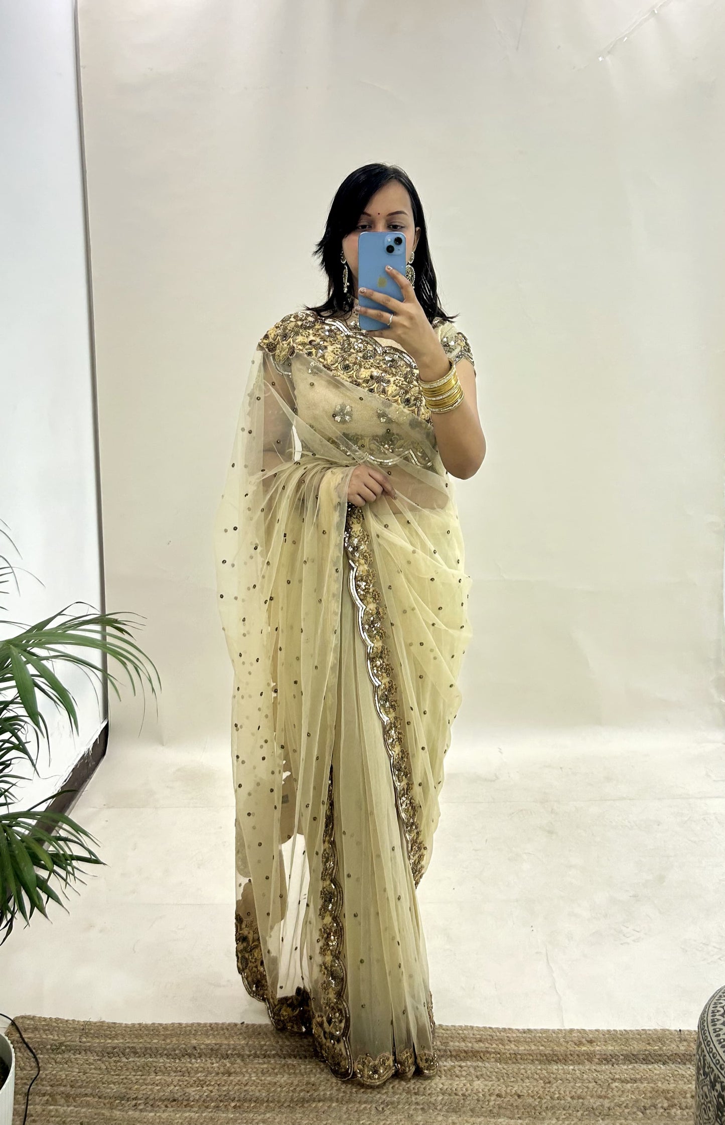 Net Sequined Saree in Beige